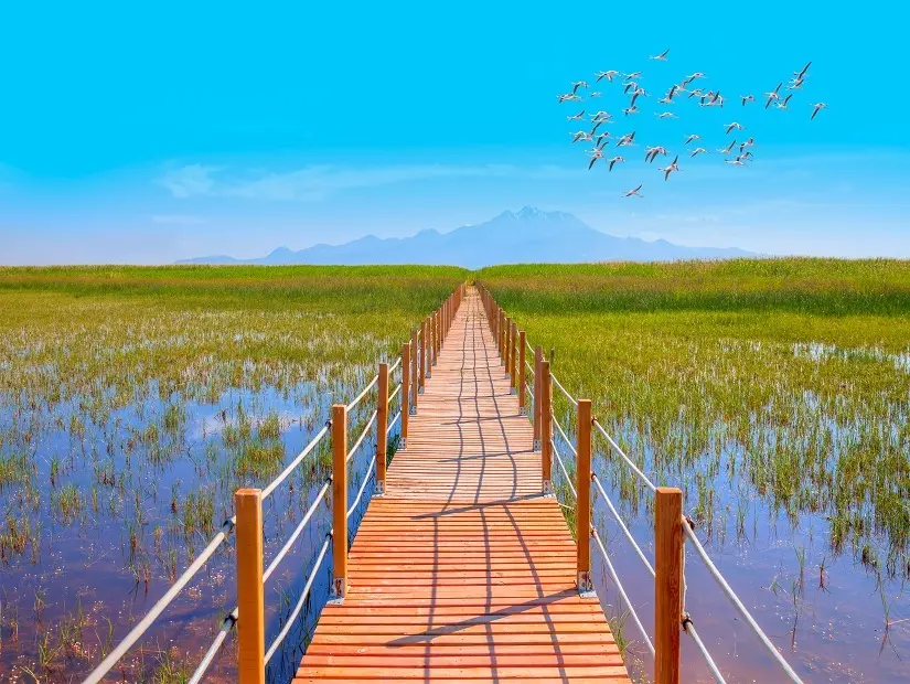 Sultan Marshes